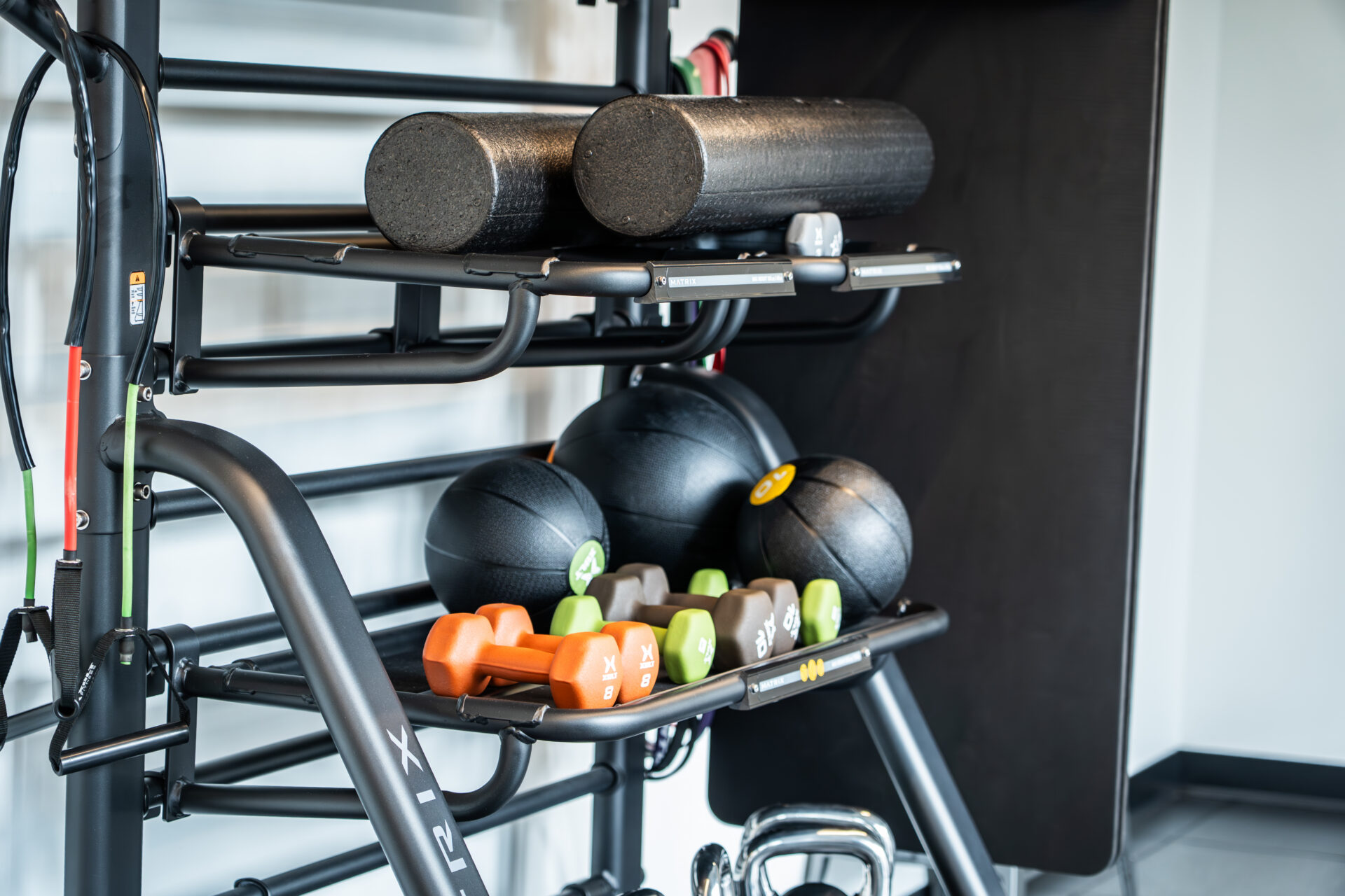 Senior residents in a professionally staffed fitness program